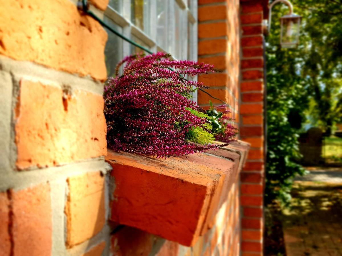 Schmiede1860 Bed & Breakfast Gross Dratow Екстериор снимка